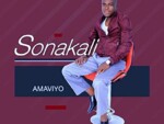 Sonakali – Amaviyo + Video