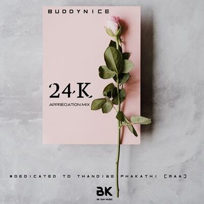 Buddynice – 24K Appreciation Mix (Dedicated to Thandiwe)
