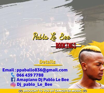 Pablo Le Bee – Nko Nko Nko Thebelebe (Christian BassMachine)