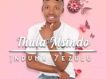 Thula Msindo – Uzundibize
