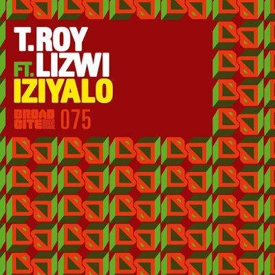 T.Roy – Iziyalo (Team Distant Afro Deep Remix) ft. Lizwi