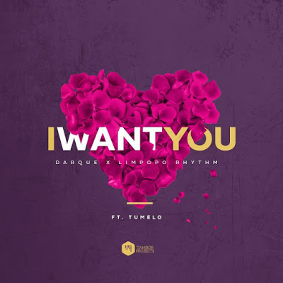 Darque & Limpopo Rhythm – I Want You ft. Tumelo