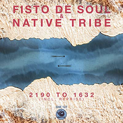 Fisto De Soul & Native Tribe – 2190 To 1632 (Original Mix)