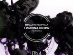 Smallistic – I Wanna Know (SoulLab Remix) ft. Villa