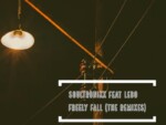 Soultronixx – Freely Fall (Dustinho Healthy Cut Remix) Ft. Lebo