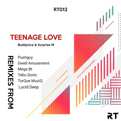 Buddynice – Teenage Love (Tebu.Sonic's Sonitech Mix) ft. Surprise M