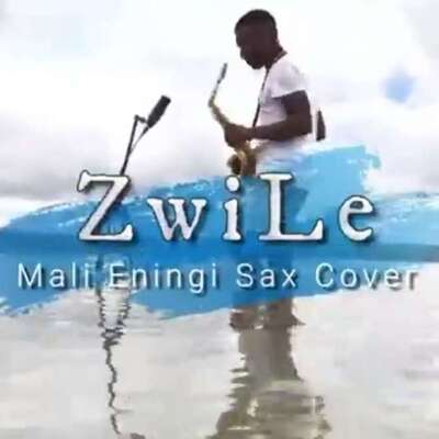 Big Zulu – Imali Eningi (Zwile Sax Cover) ft. Intaba Yase Dubai & Riky Rick