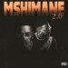 Stino Le Thwenny – Mshimane 2.0 (Song & Video) ft. Major League, K.O & Khuli Chana