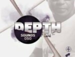 Dj Lapie – Depth Sounds 050 Mix
