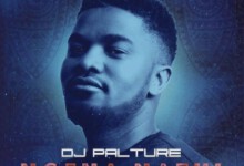 DJ Palture – Ngena Nathi (Club Mix 2.0) ft. Andiswa Mbantsa