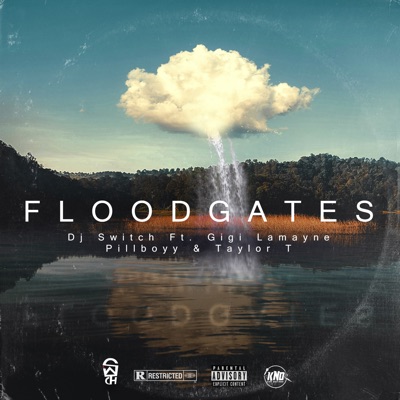 DJ Switch – Floodgates ft. Gigi Lamayne, Pillboyy & Taylor T