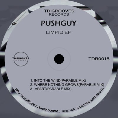 Pushguy – LIMPID EP