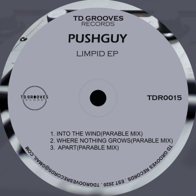 Pushguy – Where Nothing Grows (Original Mix)