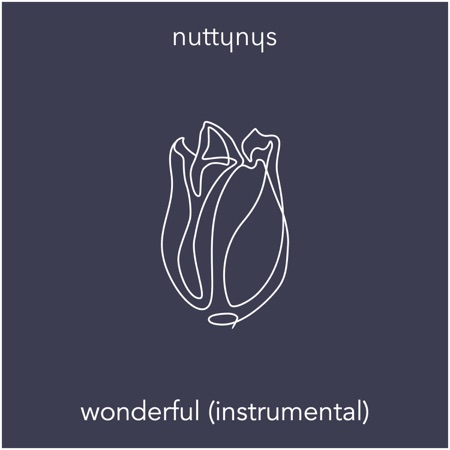 Nutty Nys – Wonderful (Instrumental)