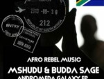 Mshudu & Budda Sage – Venom (Original Mix)