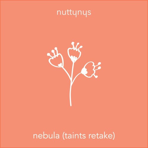 Nutty Nys Nebula (Taints Retake) Mp3 Download