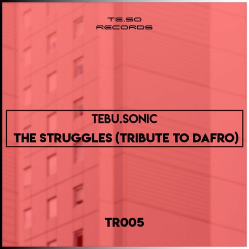 Tebu Sonic The Struggles (Tribute To Dafro) Mp3 Download