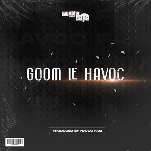 Havoc Fam ft Diskwa & Ayzoman – Aux Mp3 Download