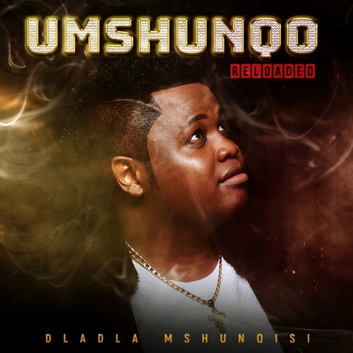 Dladla Mshunqisi ft. DJ Lag – Owamabomu Mp3 Download