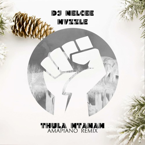 DJ Nelcee & Mvzzle – Thula Mtanami (Amapiano Remix)