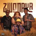 Mellow & Sleazy, DBN Gogo & Dinho – Zwonaka Song MP3
