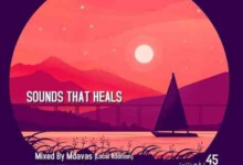 DJ Pavara (Mfundisi We Number) – Sounds That Heals Session (Guest Mix)