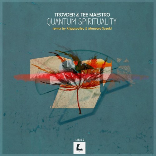 Troyder & Tee Maestro – Quantum Spirituality (Krippsoulisc Remix)