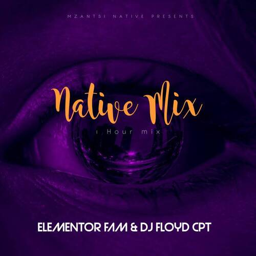 Dj Floyd CPT & Elementor Fam - Native Mix (1 Hour Mix)