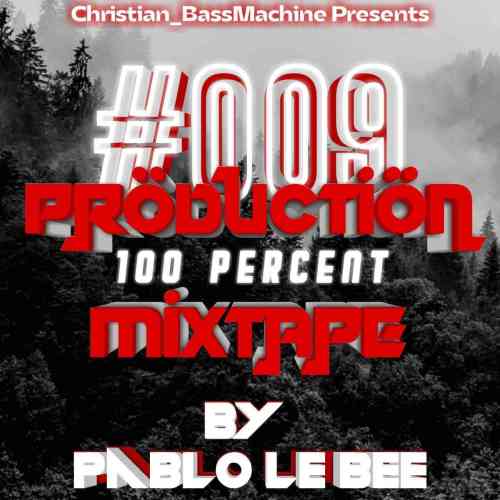 Pablo Le Bee - Production Mix #009 (Christian BassMachine KotaLediKotana)