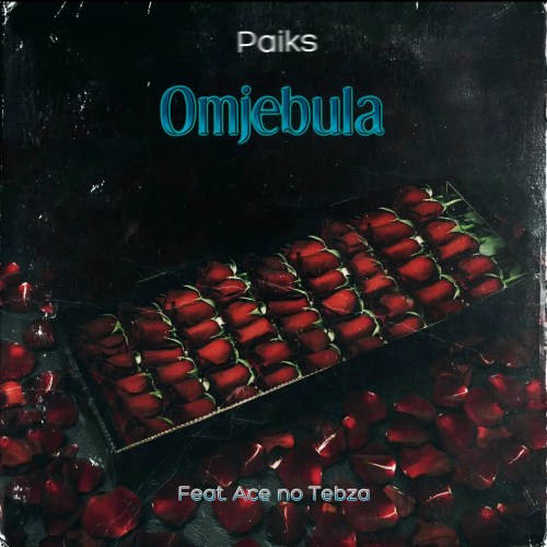 Paiks - Omjebula ft. Ace no Tebza