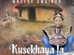 Mncedy Umqingo – Ngenelela Jesu ft. Lindokuhle Vilakazi
