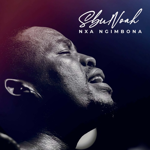 Sbu Noah - Nxa Ngimbona (Live)