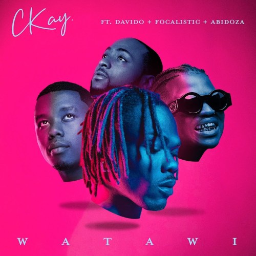 Ckay - WATAWI ft. Focalistic, Davido & Abidoza