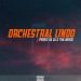 Prince Da DJ & TNK MusiQ – Orchestral Lindo