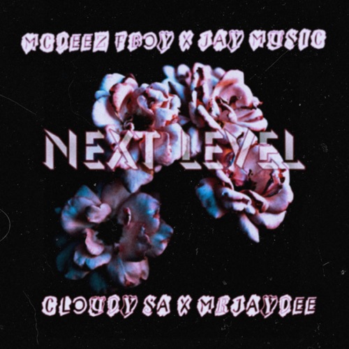 Mcdeez Fboy & Jay Music – Next Level ft. Cloudy SA & Mr Jaydee
