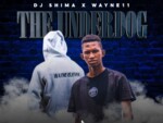 DJ Shima & Wayne11 – The Underdog ft. Nkukza SA