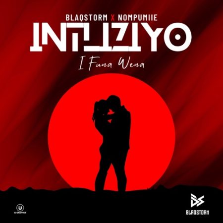 BlaqStorm – ‎Intliziyo (I Funa Wena) ft. Nompumiie