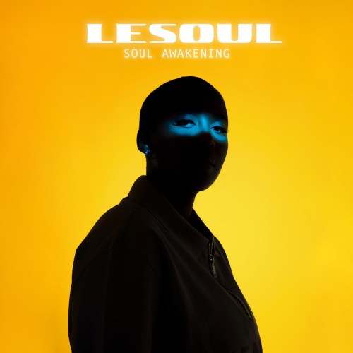 DJ LeSoul & Lemon & Herb – Money Heist
