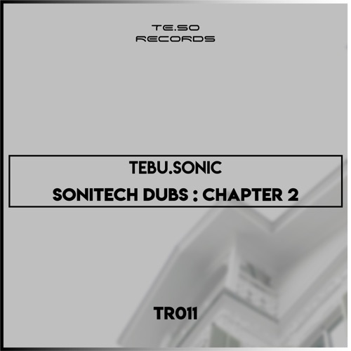 Tebu.Sonic – Trusted Instinct (Sonitech Dub)