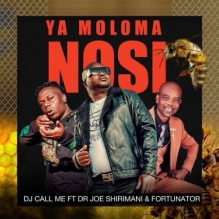 DJ Call Me – Ya Moloma Nosi ft. Dr Joe Shirimani & Fortunator