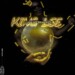 King Lee – Fearless ft. Akiid Musiq