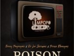 Limpopo Poison – ‎Poison ft. Dr Joe Shirimani, Benny Mayengani & Prince Rhangani