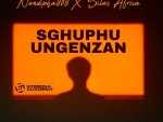 Nandipha808 – ‎Sghuphu Ungenzan Ft. Silas Africa