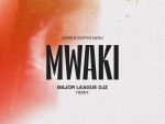ZERB – Mwaki (Major League DJz Remix) Ft. Sofiya Nzau